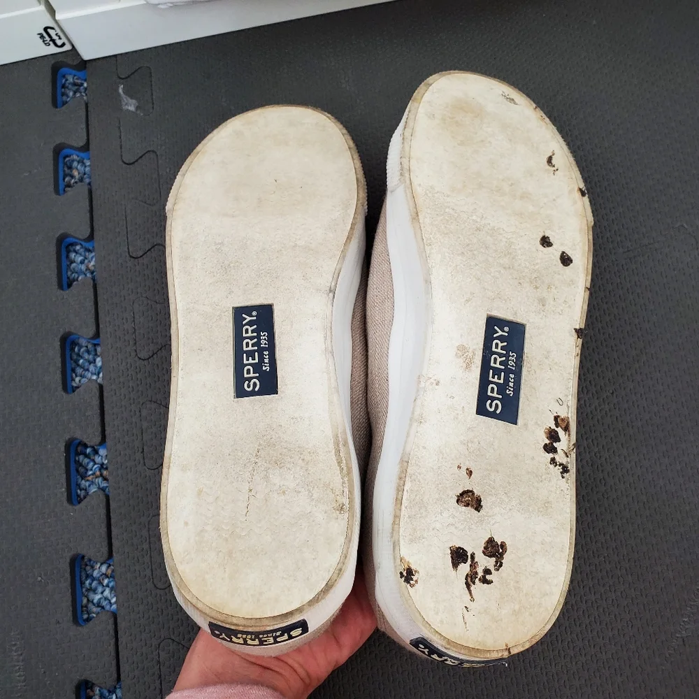 Sperry canvas sneakers/boat shoes